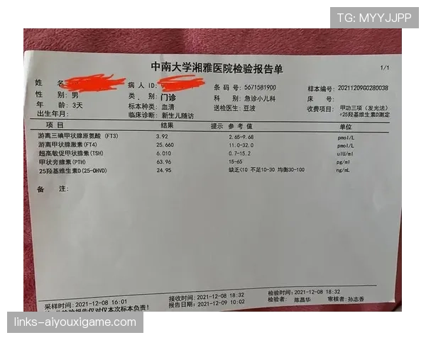 护腿板要求:裁判检验的三项关键条件 护腿板要求:裁判检验的三项关键条件
