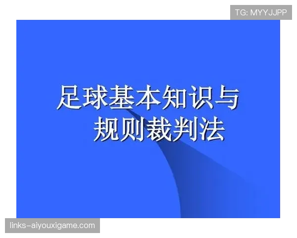 足球体育道德规则解析：裁判对公平竞赛的判罚标准与执行原则
